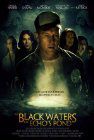 MV5BMjU2Nzg0MDEyN15BMl5BanBnXkFtZTcwOTE3Mzk1MQ@@  V1  SY140  Jason Loughridge (Black Waters of Echos Pond)