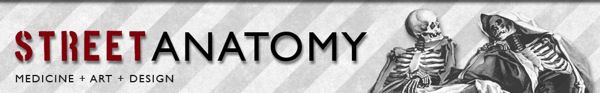 sa new header Street Anatomy