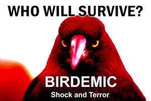 bd wall4 small Birdemic Screening This Weekend
