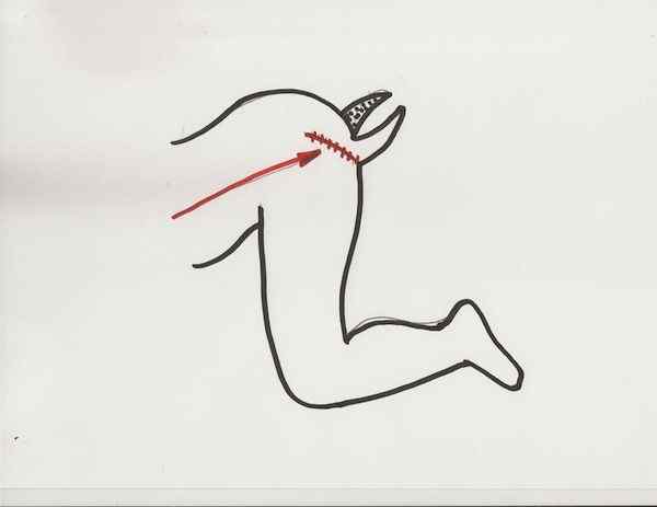 sketch%203%20THC%20%20Human%20Centipede%20One%20Sheet%20and%20Extras