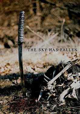 skyhasfallen The Sky Has Fallen