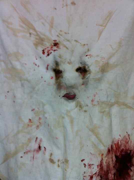 Horror Society: New Stills From Crossbearer   www.horrorsociety.com