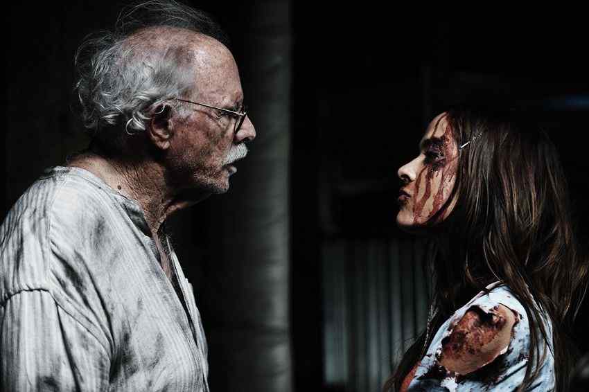 HorrorSociety Exclusive Interview with Chauntal Lewis, star of Toolbox Murders 2 dsc 12411 Exclusive Interview with Chauntal Lewis, star of Toolbox Murders 2